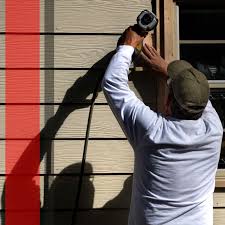 Best Steel Siding Installation  in Crainvle, IL